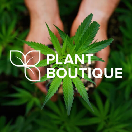 Plant Boutique Branding